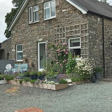 Pant Glas Barn Llanbrynmair Exterior foto