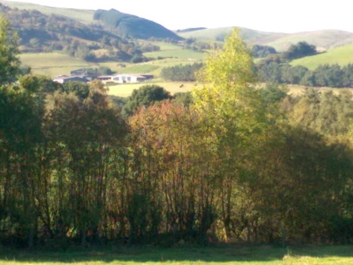 Pant Glas Barn Llanbrynmair Exterior foto