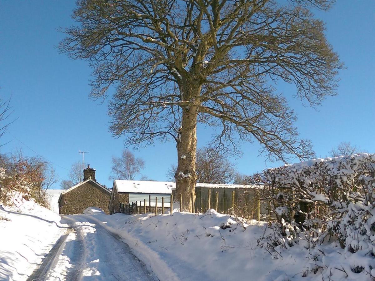 Pant Glas Barn Llanbrynmair Exterior foto