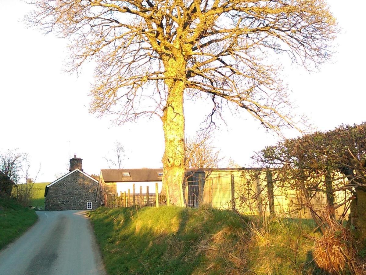 Pant Glas Barn Llanbrynmair Exterior foto